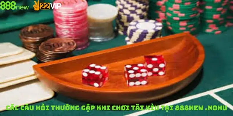 Các Câu Hỏi Thường Gặp Khi Chơi Tài Xỉu Tại 888new .nohu