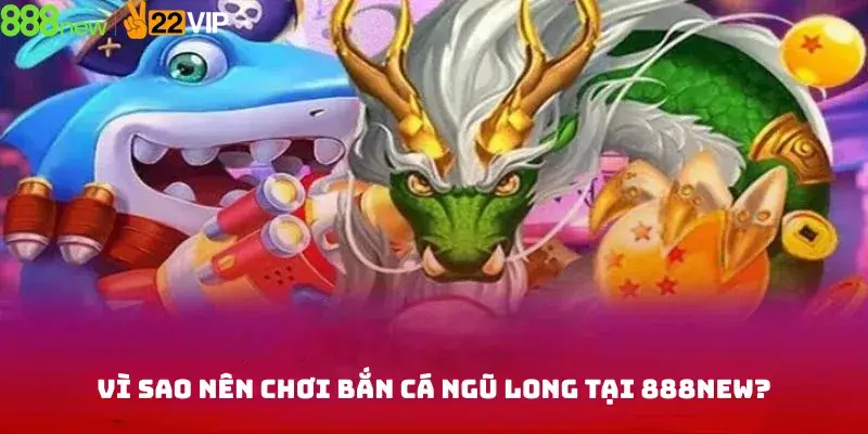 Vì Sao Nên Chơi Bắn Cá Ngũ Long Tại 888new?